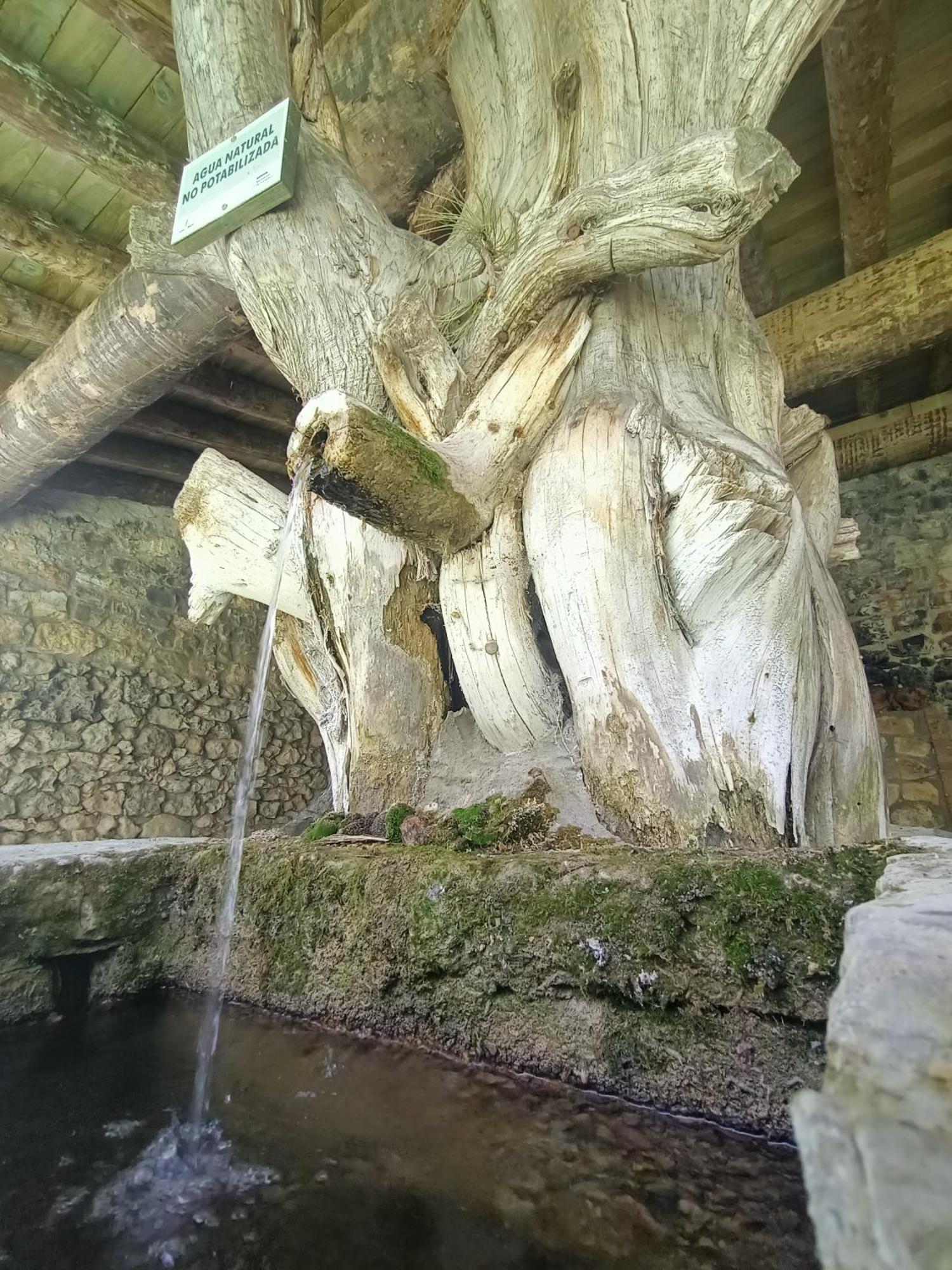 Alojamiento Rural El Cerro Фреснеда-де-ла-Сьерра Экстерьер фото
