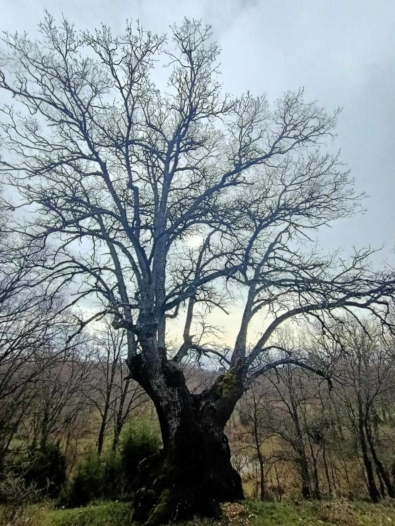 Alojamiento Rural El Cerro Фреснеда-де-ла-Сьерра Экстерьер фото