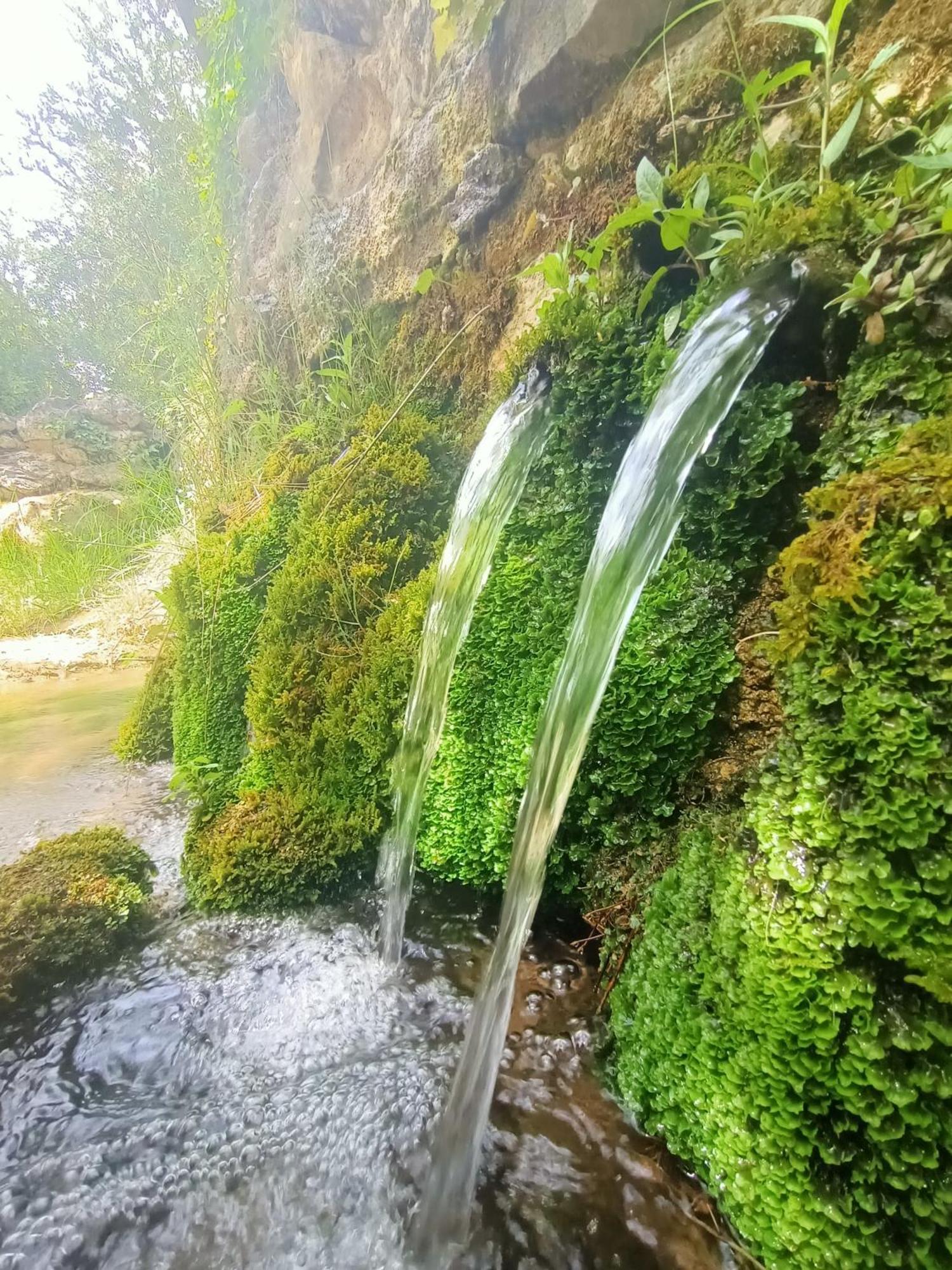 Alojamiento Rural El Cerro Фреснеда-де-ла-Сьерра Экстерьер фото