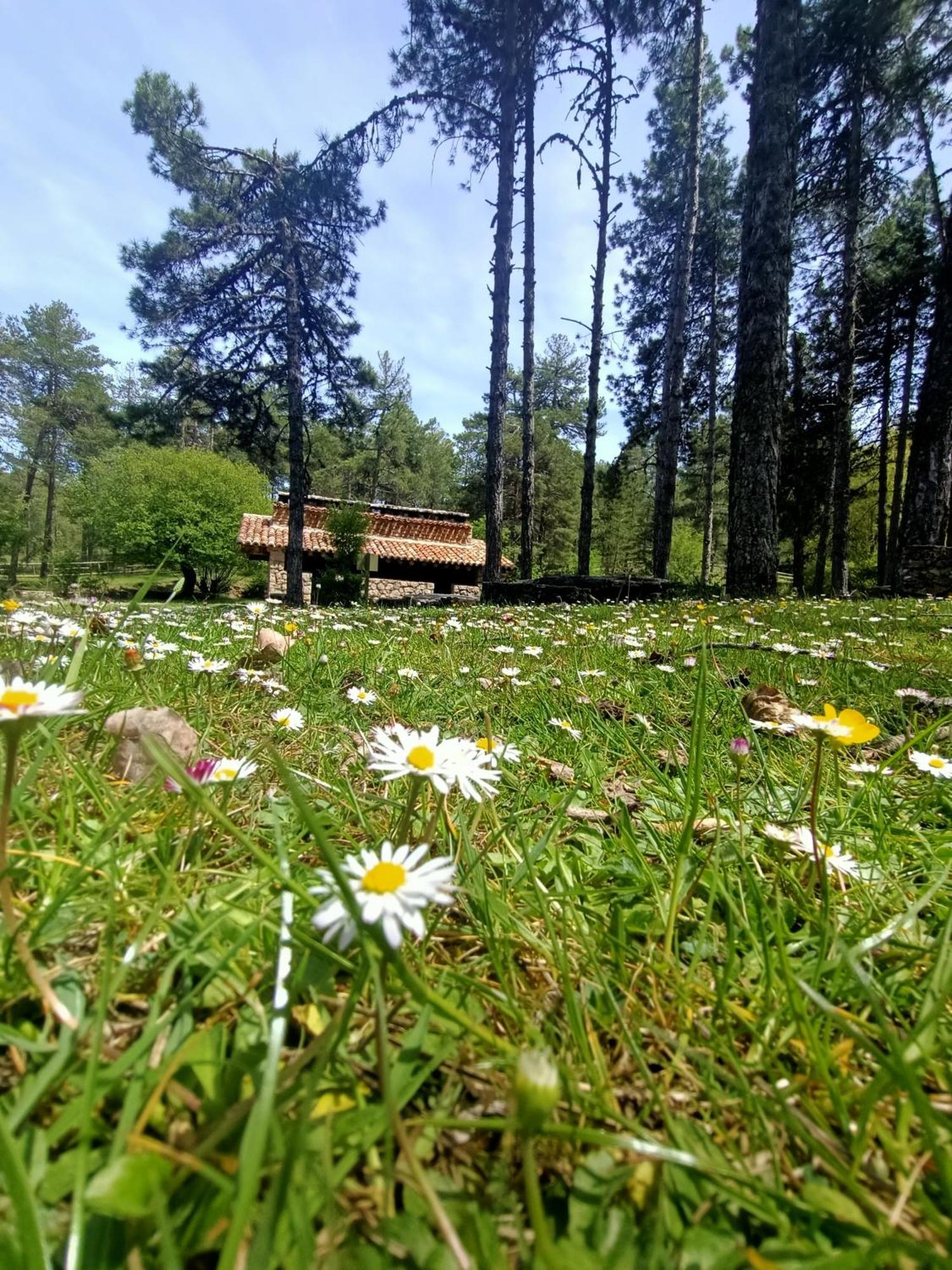 Alojamiento Rural El Cerro Фреснеда-де-ла-Сьерра Экстерьер фото